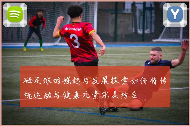 硒足球的崛起与发展探索如何将传统运动与健康元素完美结合