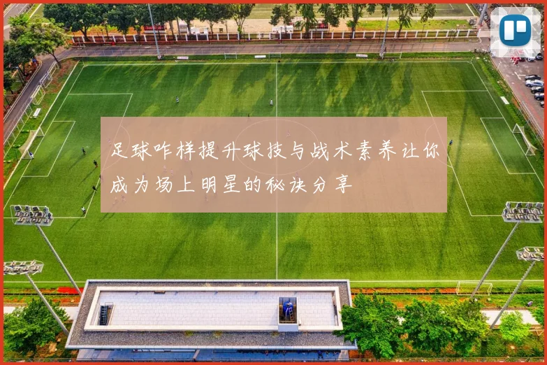 足球咋样提升球技与战术素养让你成为场上明星的秘诀分享