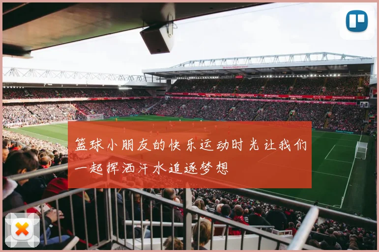 篮球小朋友的快乐运动时光让我们一起挥洒汗水追逐梦想