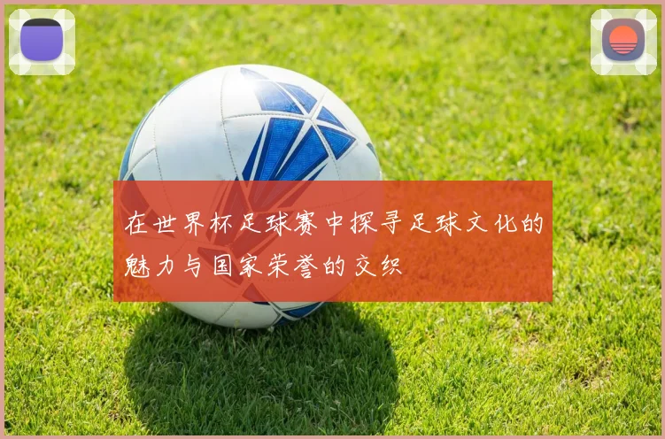 在世界杯足球赛中探寻足球文化的魅力与国家荣誉的交织